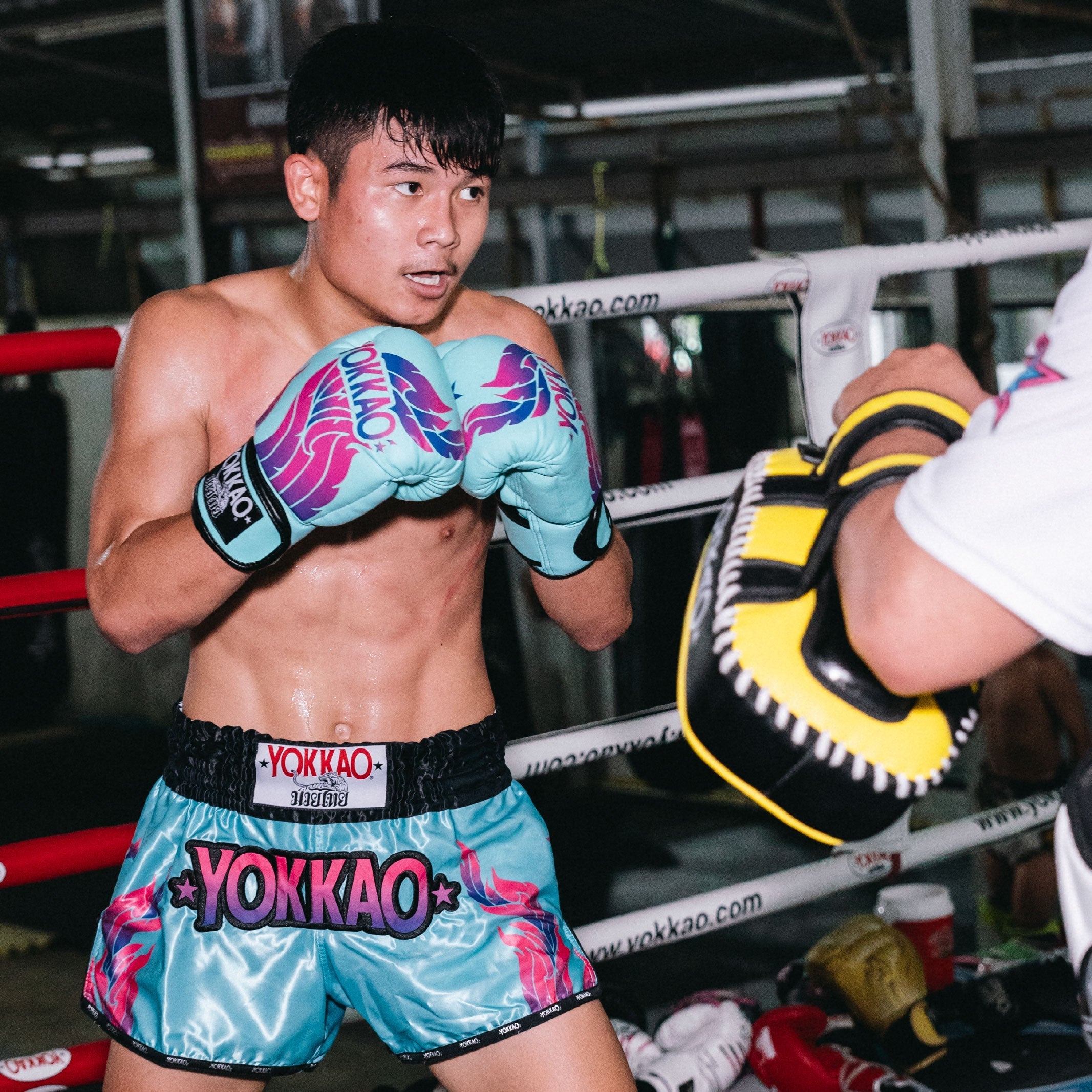 The Flame Muay Thai -Shortsit